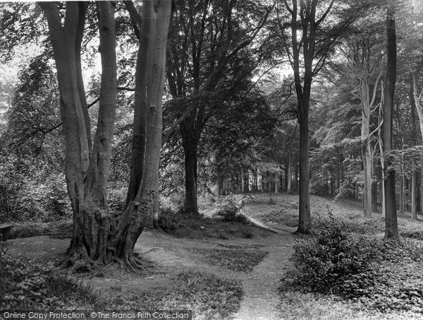 Photo of Dorking, Glory Woods 1928