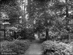 Glory Woods 1928, Dorking