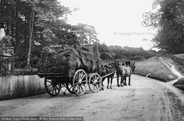 Photo of Dorking, Horse And Cart 1906