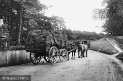 Horse And Cart 1906, Dorking