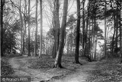 In Glory Woods 1892, Dorking