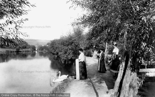 Photo of Dorking, Mill Pond 1906
