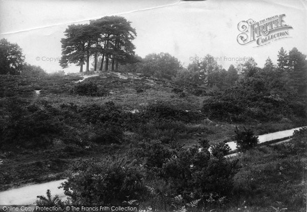 Photo of Dorking, Milton Heath 1906