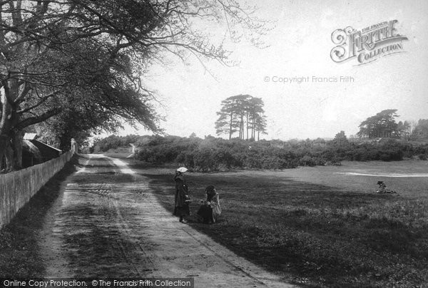 Photo of Dorking, Milton Heath 1906