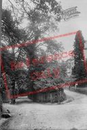 Nower Lane And Falkland Grove 1907, Dorking