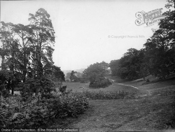 Photo of Dorking, Pathway Through The Nower 1936