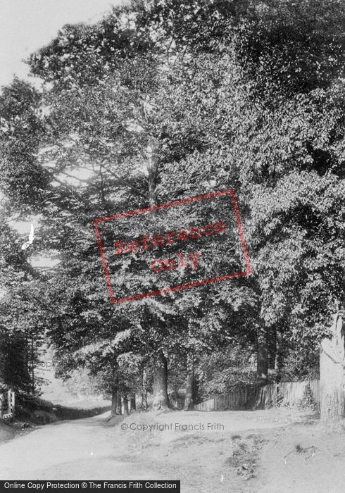 Photo of Dorking, St Paul's Road 1907