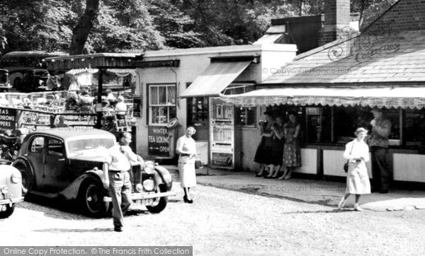 Photo of Dorking, The Fort Tea Gardens c.1955