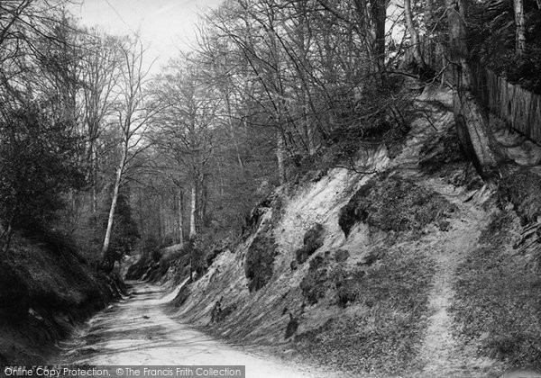 Photo of Dorking, The Hollows 1892