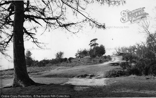 Photo of Dorking, The Nower c.1955