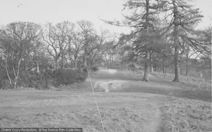 Photo of Dorking, The Nower c.1955