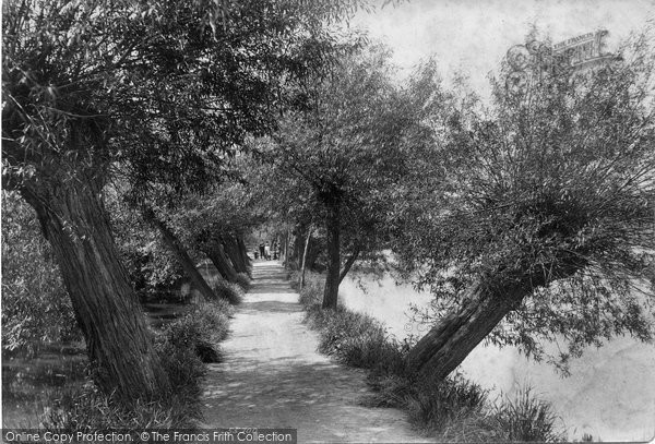 Photo of Dorking, The Willow Walk 1906
