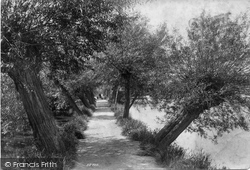 The Willow Walk 1906, Dorking