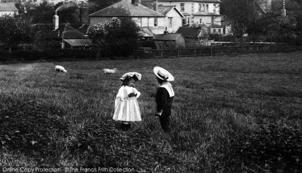 Photo of Dorking, True Love 1905