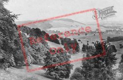View From Denbies 1890, Dorking