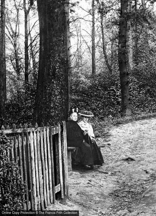 Photo of Dorking, Women Seated In Glory Woods 1906