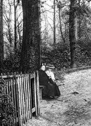 Women Seated In Glory Woods 1906, Dorking