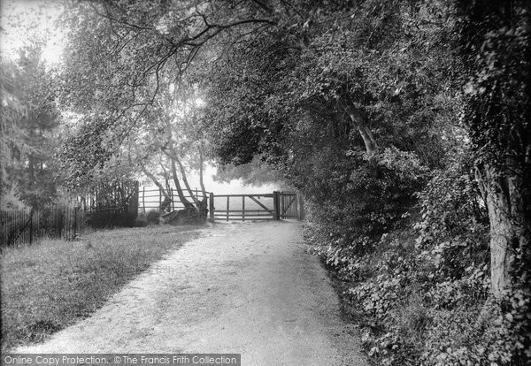 Photo of Dormansland, Path To The Village 1910