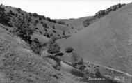 c.1955, Dovedale