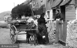 Donkey Cart 1894, Downderry