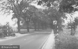 Main Road c.1955, Drayton