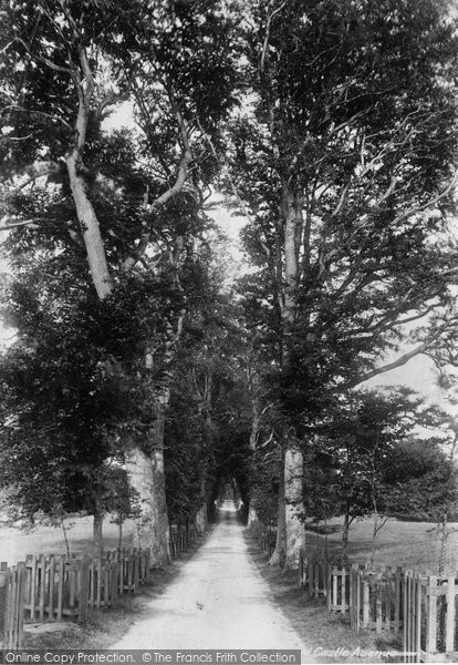 Photo of Drummond, The Castle Avenue 1899