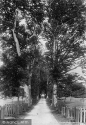 The Castle Avenue 1899, Drummond