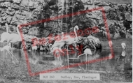 Zoo, Flamingos c.1965, Dudley
