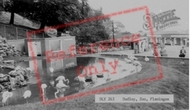 Zoo, Flamingos c.1965, Dudley