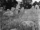 Croftmoraig Stone Circle 1955, Dull