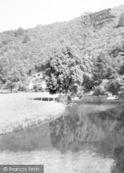The River Barle c.1960, Dulverton