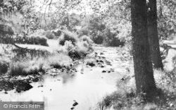 The River c.1955, Dulverton