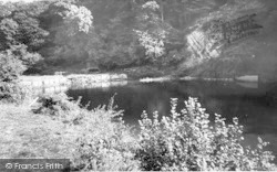 The River Exe, Black Pool c.1960, Dulverton