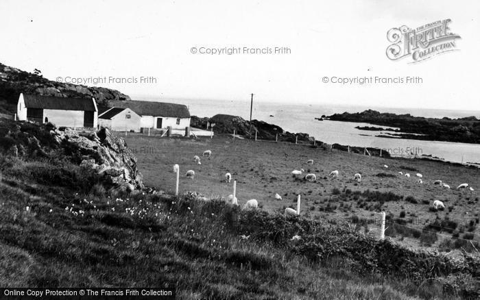 Photo of Dunaff, Dunaff Head c.1955