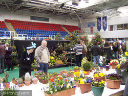 Spring Flower Show 2005, Dundee