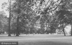 Dunham Massey, Deer In Dunham Park c.1955, Dunham Massey Hall