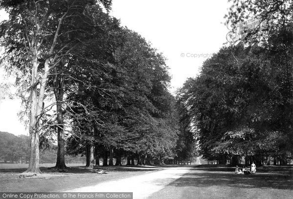 Photo of Dunham Massey, Dunham Park c.1885
