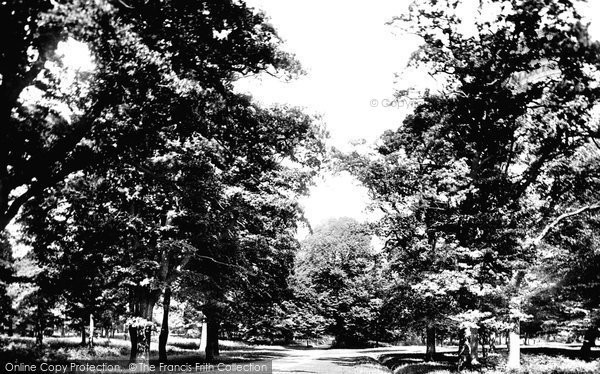 Photo of Dunham Massey, View In Dunham Park 1886
