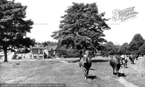 Photo of Dunsfold, The Common c.1955