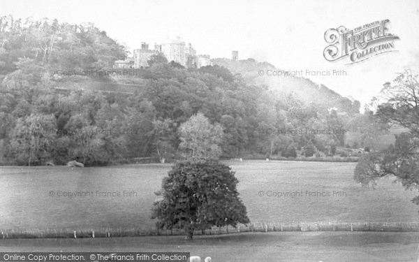 Photo of Dunster, Castle From Deer Park 1888