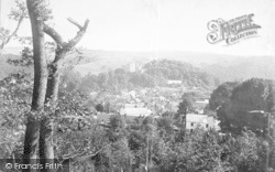 From Conygar Tower 1890, Dunster