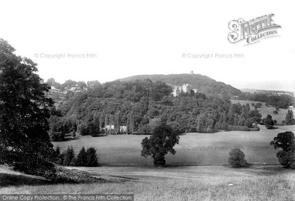 Photo of Dunster, From The Park 1903