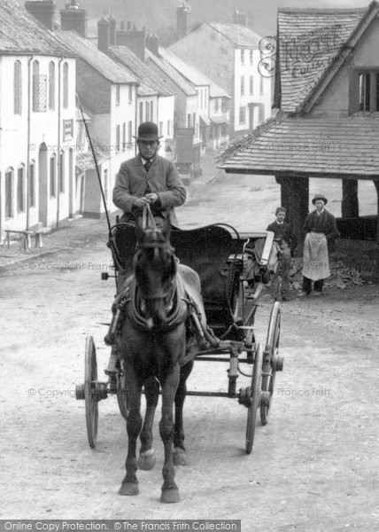 Photo of Dunster, Horse And Trap c.1880