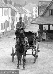 Horse And Trap c.1880, Dunster