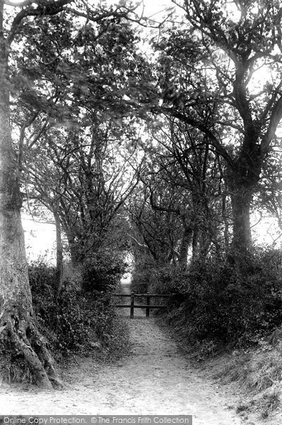 Photo of Dunwich, Path To Beach 1909