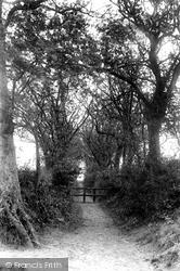 Path To Beach 1909, Dunwich