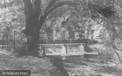 Toll Bridge From Finchale Priory c.1955, Durham