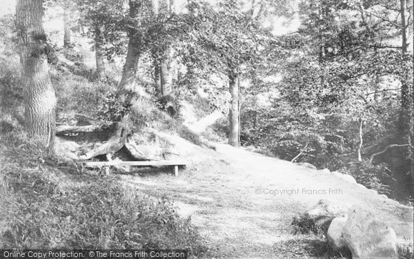 Photo of Dwygyfylchi, Fairy Glen, The Dingle 1887