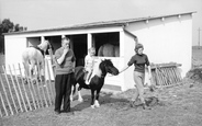 Eastpleet Riding Stables c.1960, Dymchurch