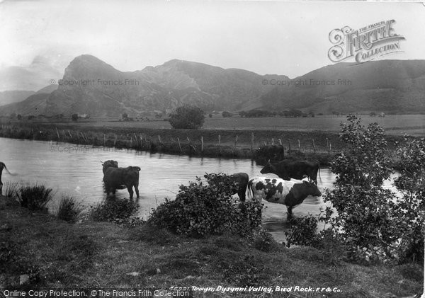 Photo of Dysynni Valley, Craig Yr Aderyn (Bird Rock) 1901